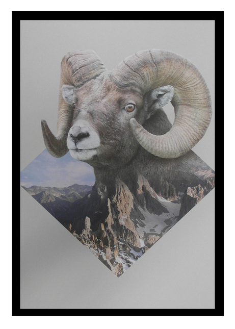 Ingelijste Poster 'Bok in natuur'