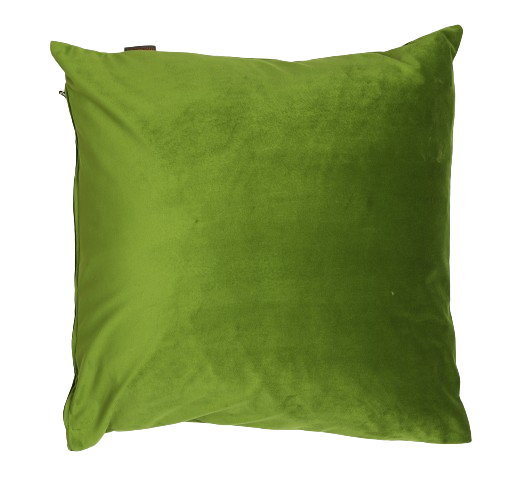 Sierkussen 'Parrot green'