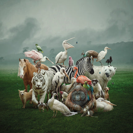 Aluart schilderij 'All together'