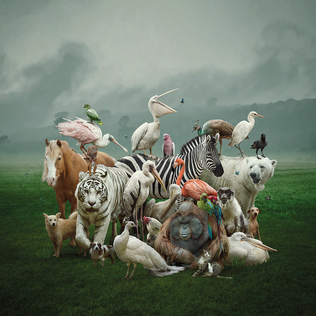 Aluart schilderij 'All together'