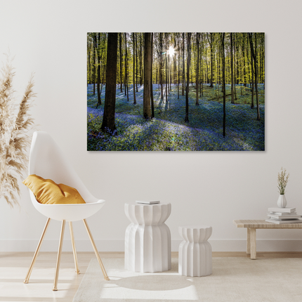 Aluart schilderij 'Hallerbos'