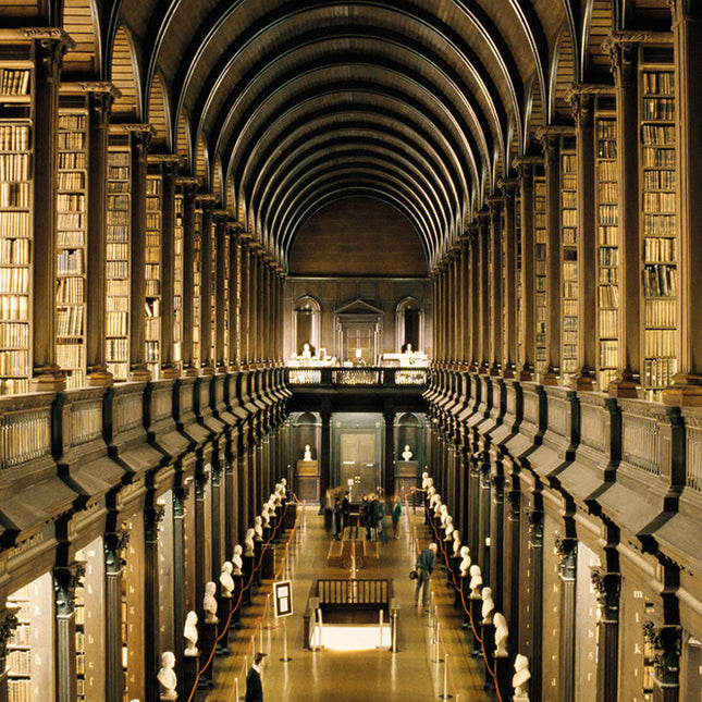 Aluart schilderij 'Trinity College Library'