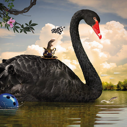 Aluart schilderij 'Zwarte Zwaan'