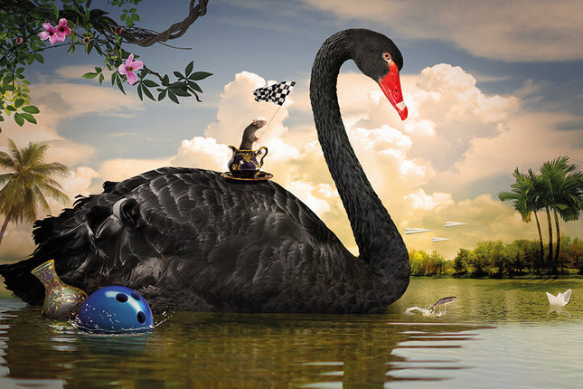 Aluart schilderij 'Zwarte Zwaan'