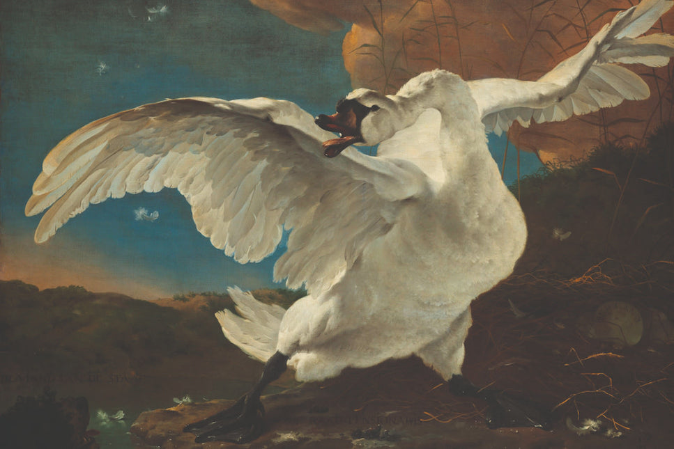Schilderij 'De bedreigde zwaan - Jan Asselijn'