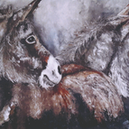 50 x 100 cm