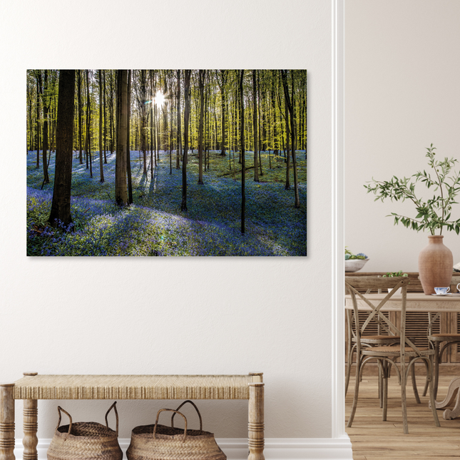 Aluart schilderij 'Hallerbos'