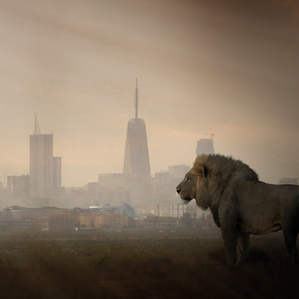 Aluart schilderij 'Lion And The City'