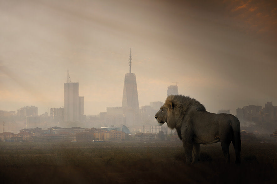 Schilderij 'Lion And The City'