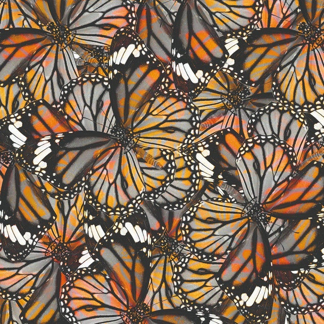 Aluart schilderij 'Monarch Vlinders'