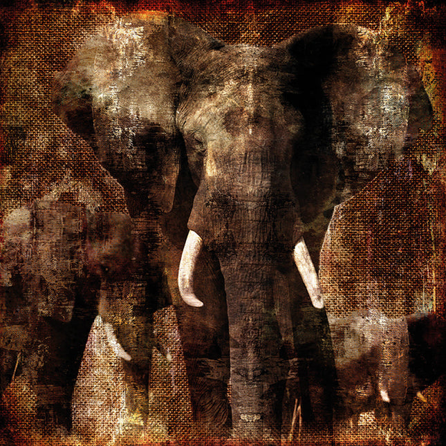 Aluart Schilderij 'Olifanten'
