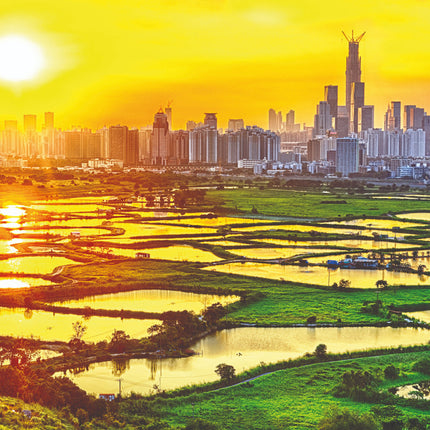 Aluart schilderij 'Hong Kong countryside'