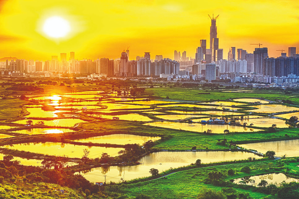 Schilderij 'Hong Kong countryside'