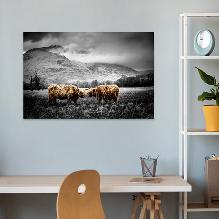 Aluart schilderij 'Schotse hooglanders in de natuur'