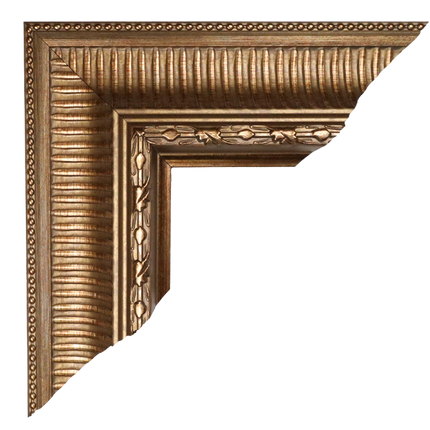 Lijst 'Floris Goud'