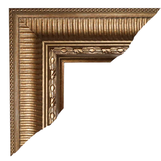 Lijst 'Floris Goud'