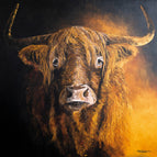 80x80cm
