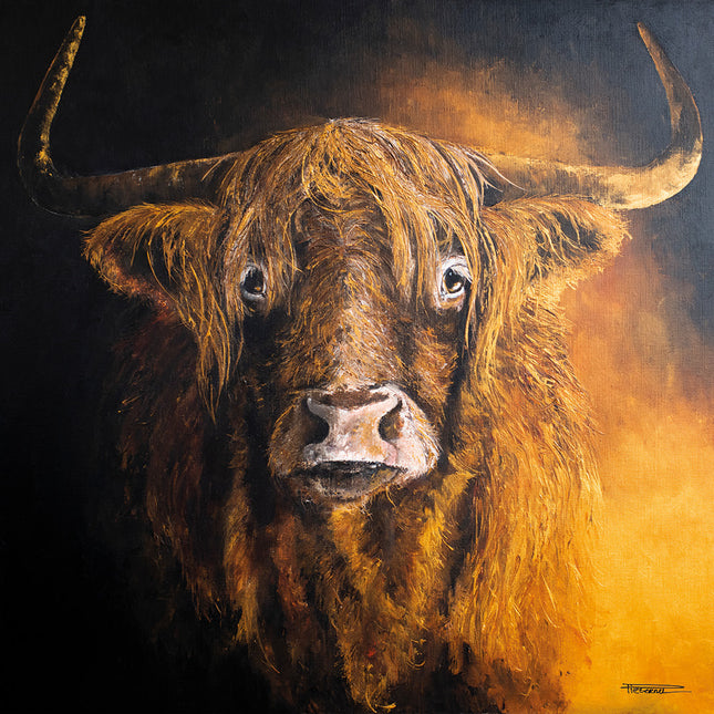 Aluart schilderij 'Highland Cow'