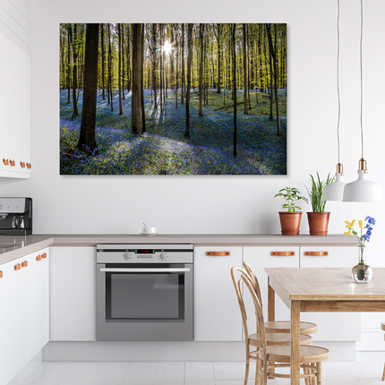 Aluart schilderij 'Hallerbos'