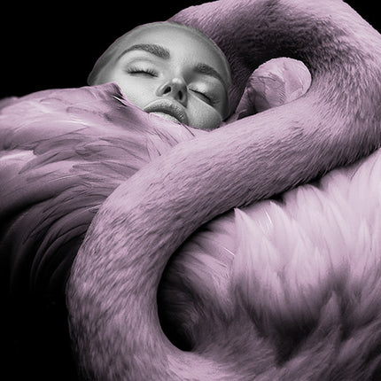 Aluart schilderij 'Vrouw met flamingo'