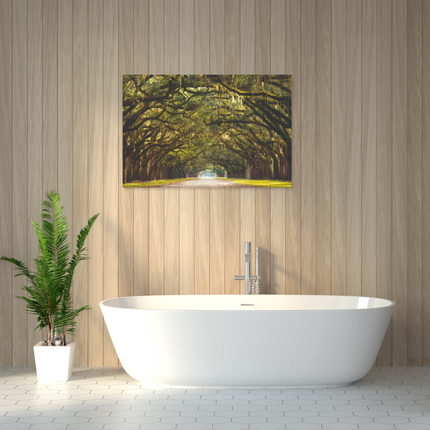Aluart schilderij 'Wormsloe State Historic Site'