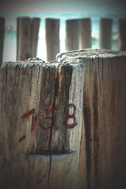 Schilderij 'De strandpalen'