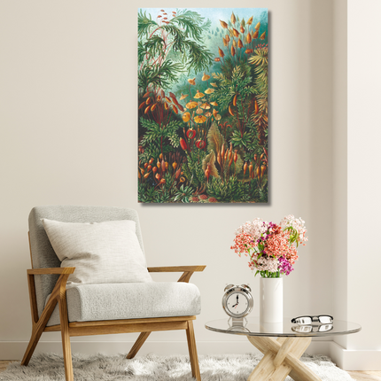 Aluart schilderij 'Muscinae Ernst Haeckel'