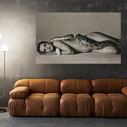 Aluart schilderij 'Nastassja Kinski The Serpent'