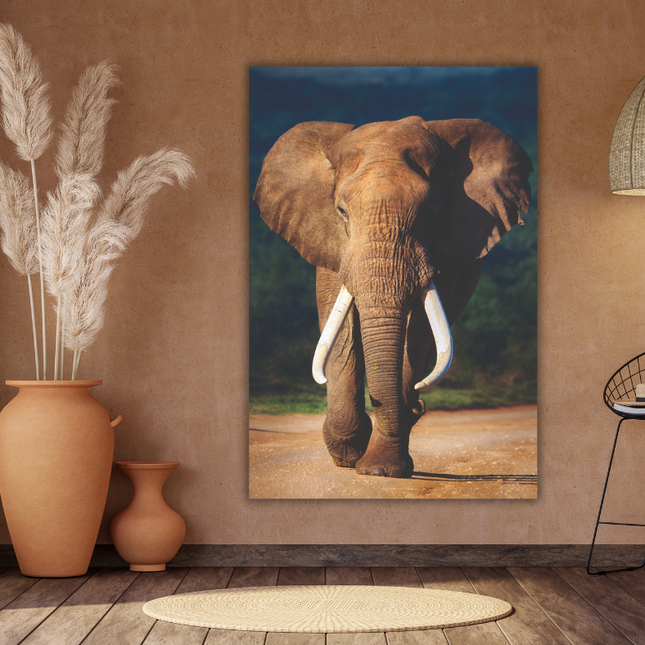 Aluart schilderij 'Afrikaanse Olifant'