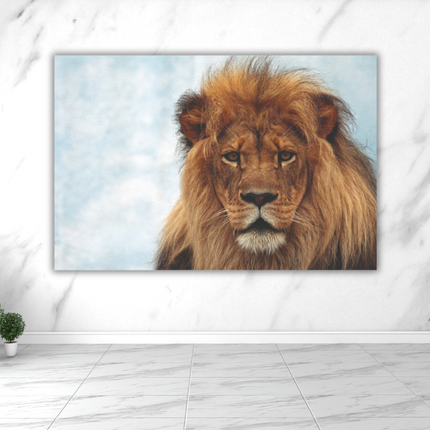 Aluart schilderij 'De Leeuwenkoning'