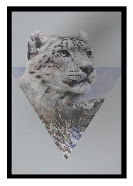 Ingelijste poster 'Tijger in gebergte'