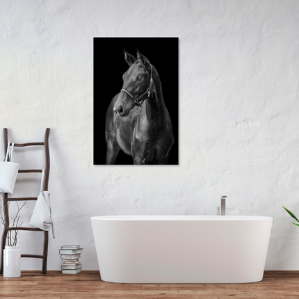 Aluart schilderij 'Black Beauty'