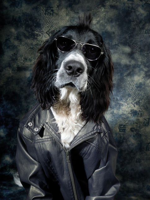 Glasschilderij 'The vintage dog'