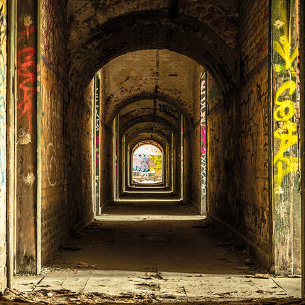 Aluart schilderij 'Fort de la Chartreuse'