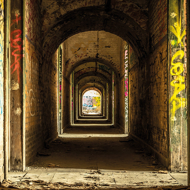 Aluart schilderij 'Fort de la Chartreuse'