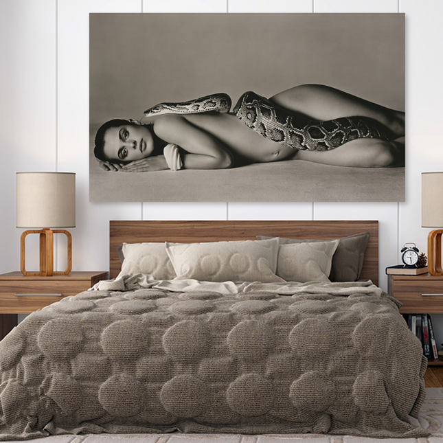 Aluart schilderij 'Nastassja Kinski The Serpent'