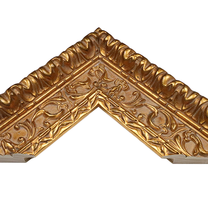 Lijst 'Nova'