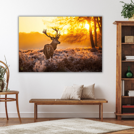 Aluart schilderij 'Deer in Morning Sun'