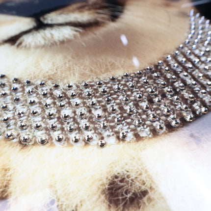 Ingelijste glasschilderij 'Cheetah with diamond collor'