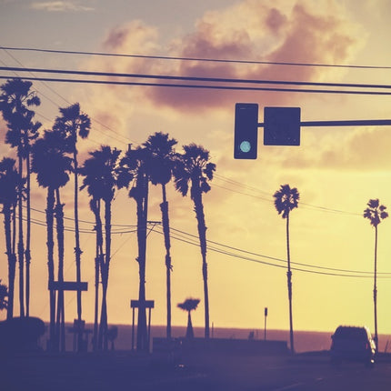 Aluart schilderij 'Californië'