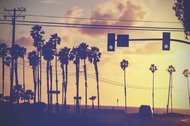 Aluart schilderij 'Californië'