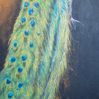 30x120cm