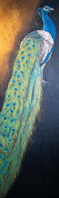 Aluart schilderij 'De Prachtige Pauw'