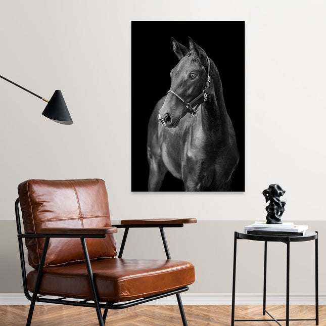 Aluart schilderij 'Black Beauty'