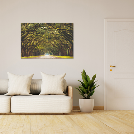 Aluart schilderij 'Wormsloe State Historic Site'