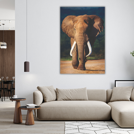 Aluart schilderij 'Afrikaanse Olifant'