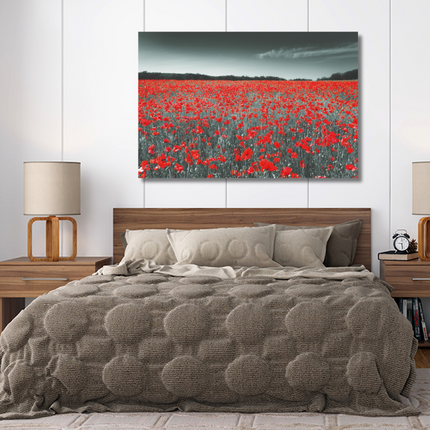 Aluart schilderij 'De klaprozen veld'