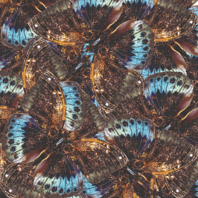 Aluart schilderij 'Vlinders'