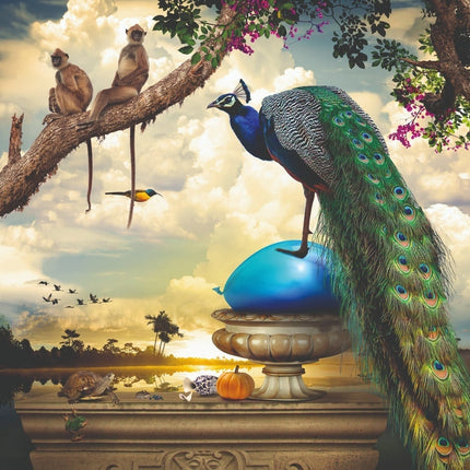 Aluart kunstwerk ‘Captain Peacock'