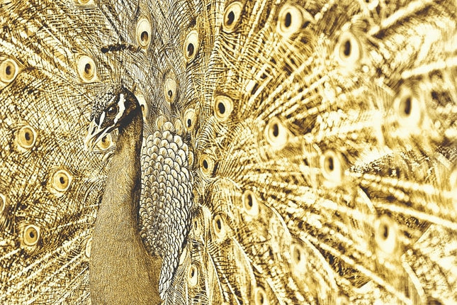 Aluart schilderij 'Gouden Pauw'